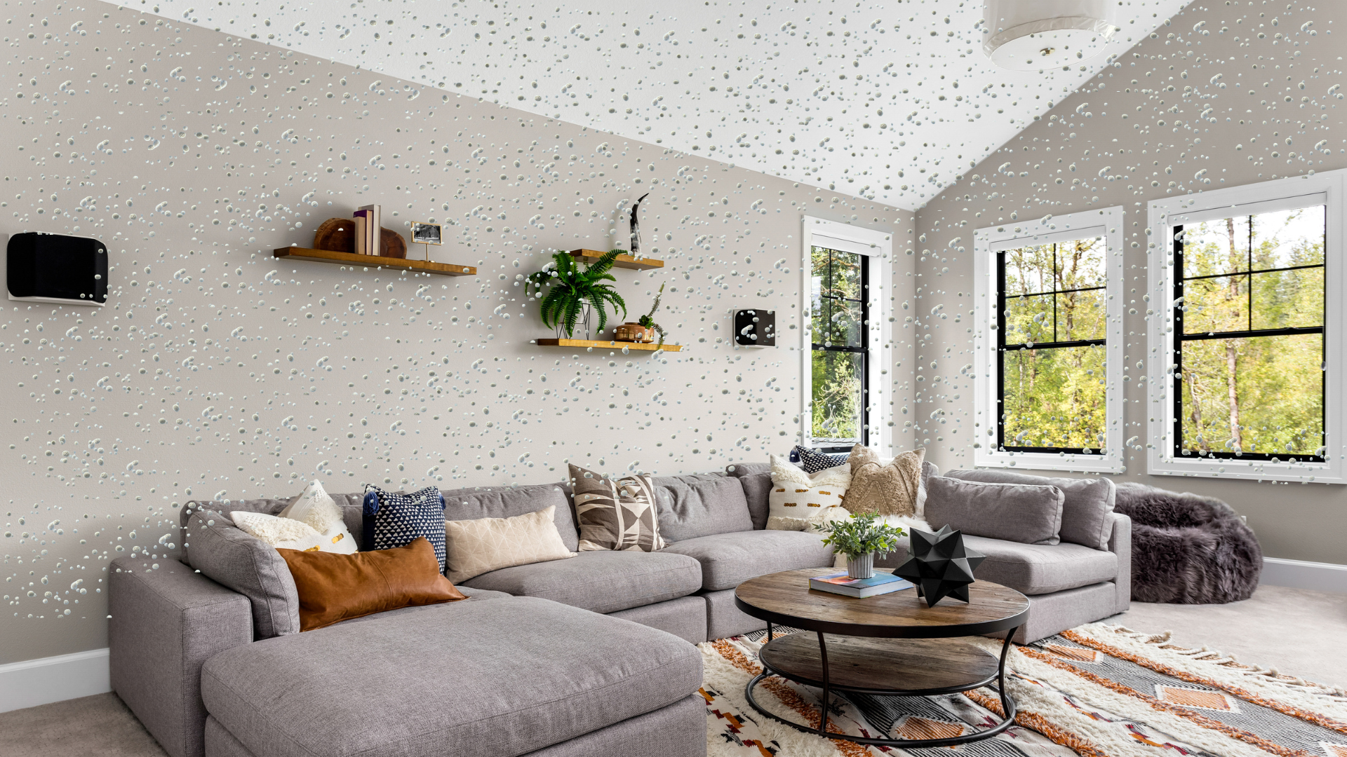 Family-Room-with-Mold-Particles-in-Air-v4
