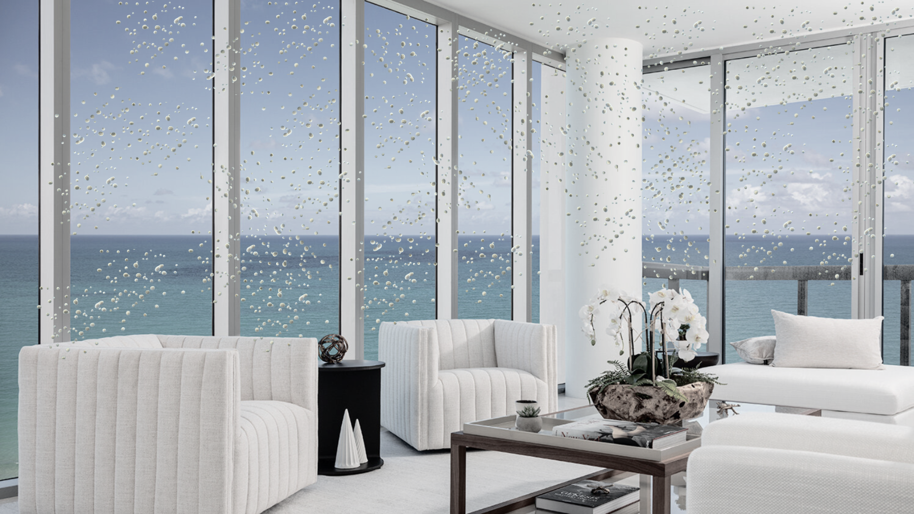Ocean-View-Before-with-Mold