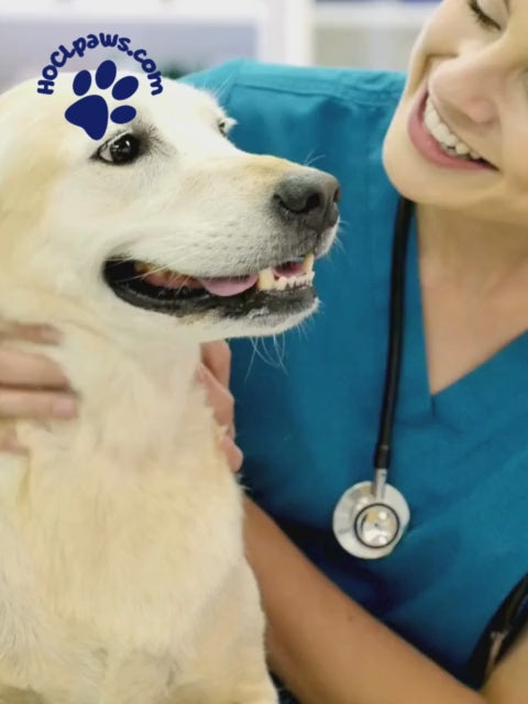 Load video: Video of Vet with Dog - Unleash the Ultimate Clean