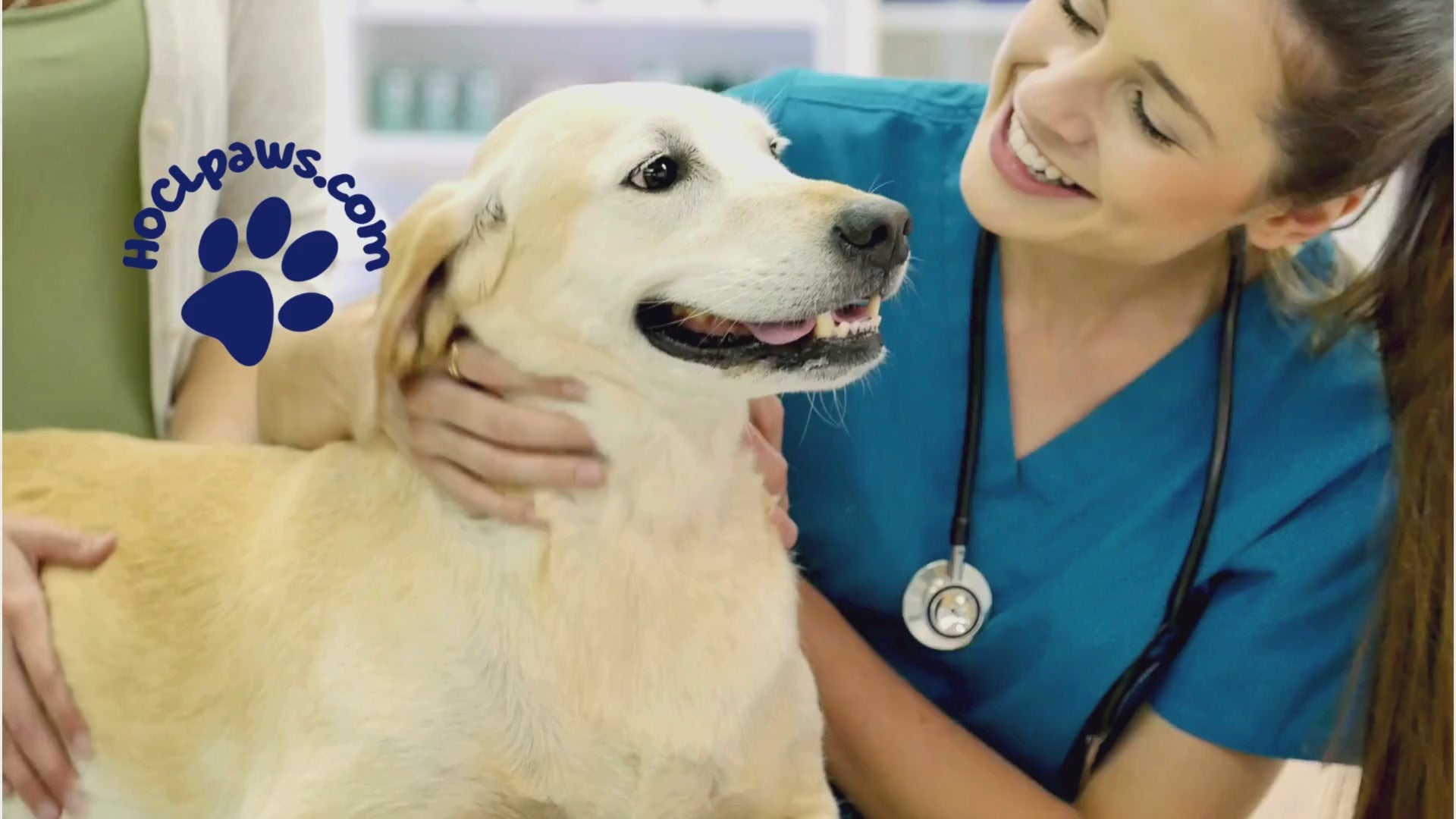 Load video: Video of Vet with Dog - Unleash the Ultimate Clean