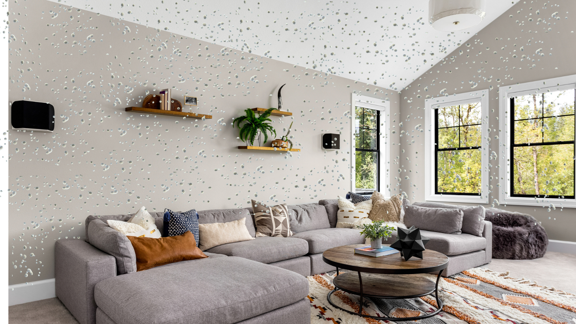 Family_Room_with_Mold_Particles_Floating